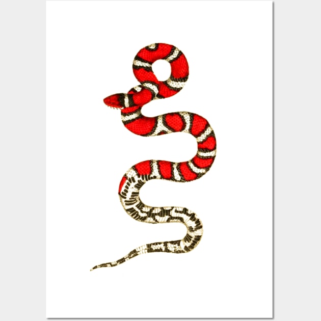 serpent,cobra,reptile,viper,venom,lizard,rattlesnake,king cobra,dragon,hydra,poison,venomous,plumber's snake,pythonidae,pythons,auger,python,squamata,serpentine,worm,big,ophidian,rattlesnakes,medusa,snakebite Wall Art by vabontchi